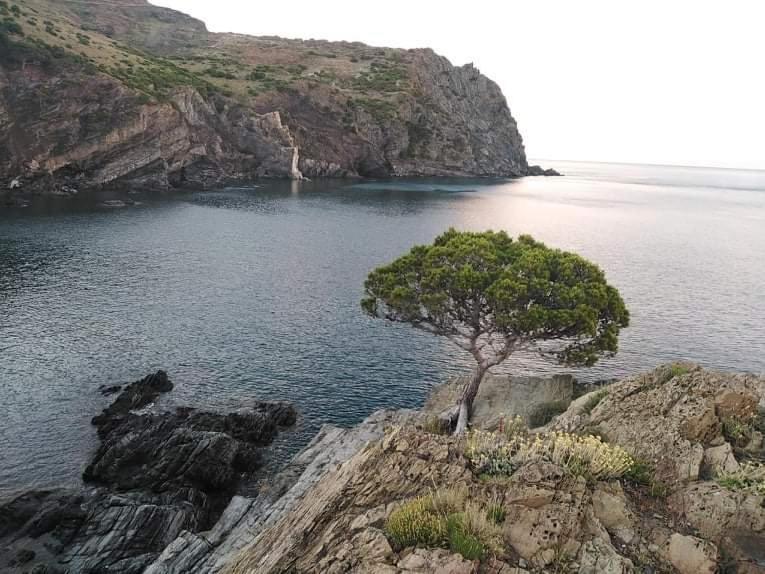 Hostal Sant Jordi Tossa de Mar Zewnętrze zdjęcie